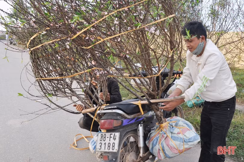 Cận cảnh những người chở Tết về nhà