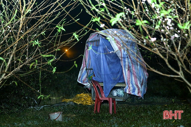 Trắng đêm canh giữ sắc xuân