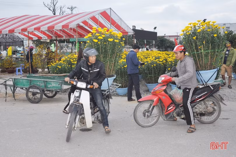 Cận cảnh những người chở Tết về nhà