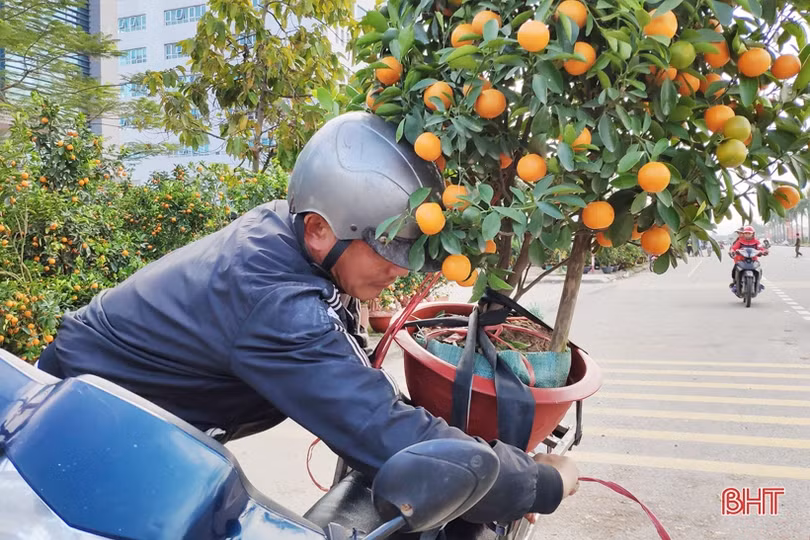 Cận cảnh những người chở Tết về nhà