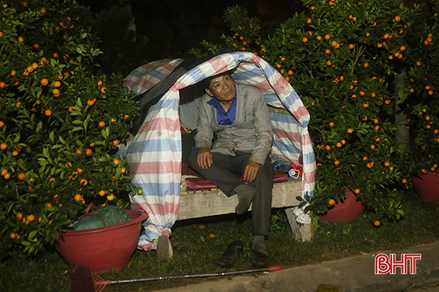 Trắng đêm canh giữ sắc xuân