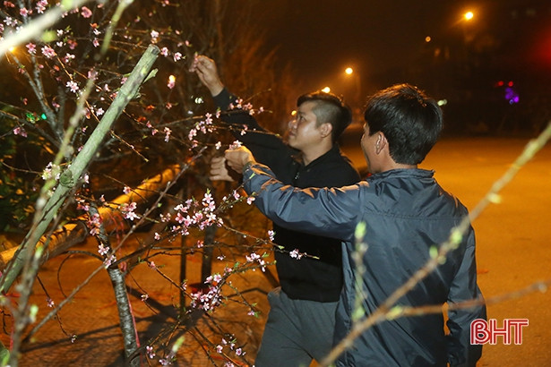 Trắng đêm canh giữ sắc xuân