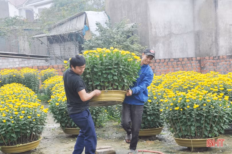 Cận cảnh những người chở Tết về nhà