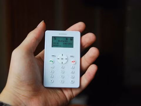 Chú dế siêu nhỏ của Beeline đang được nhiều người săn lùng. Ảnh: Công Tâm.