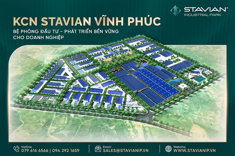 stavian-2.jpg