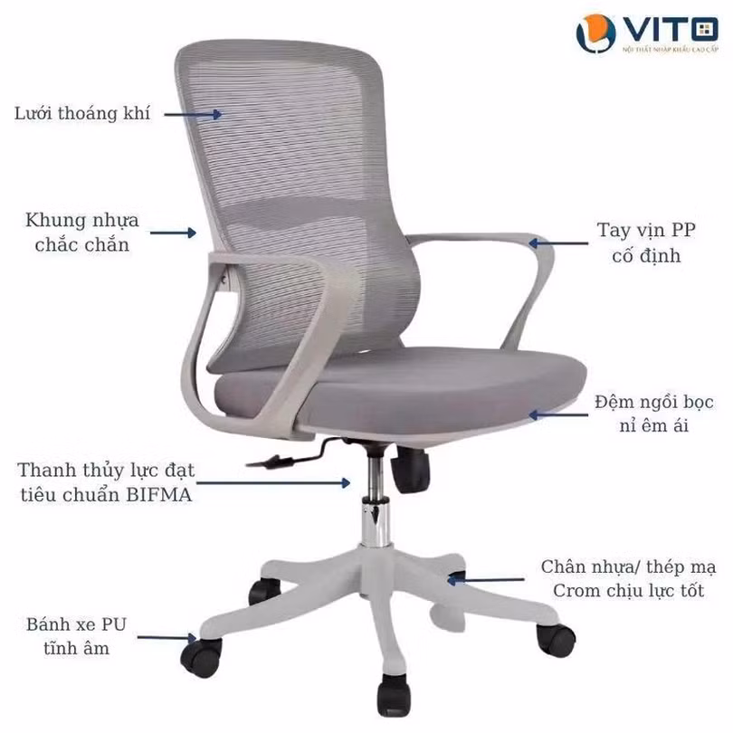 vito-2.jpg