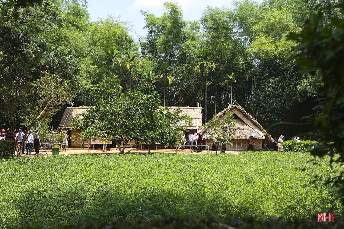 Làng Sen trong muôn vàn thương nhớ...