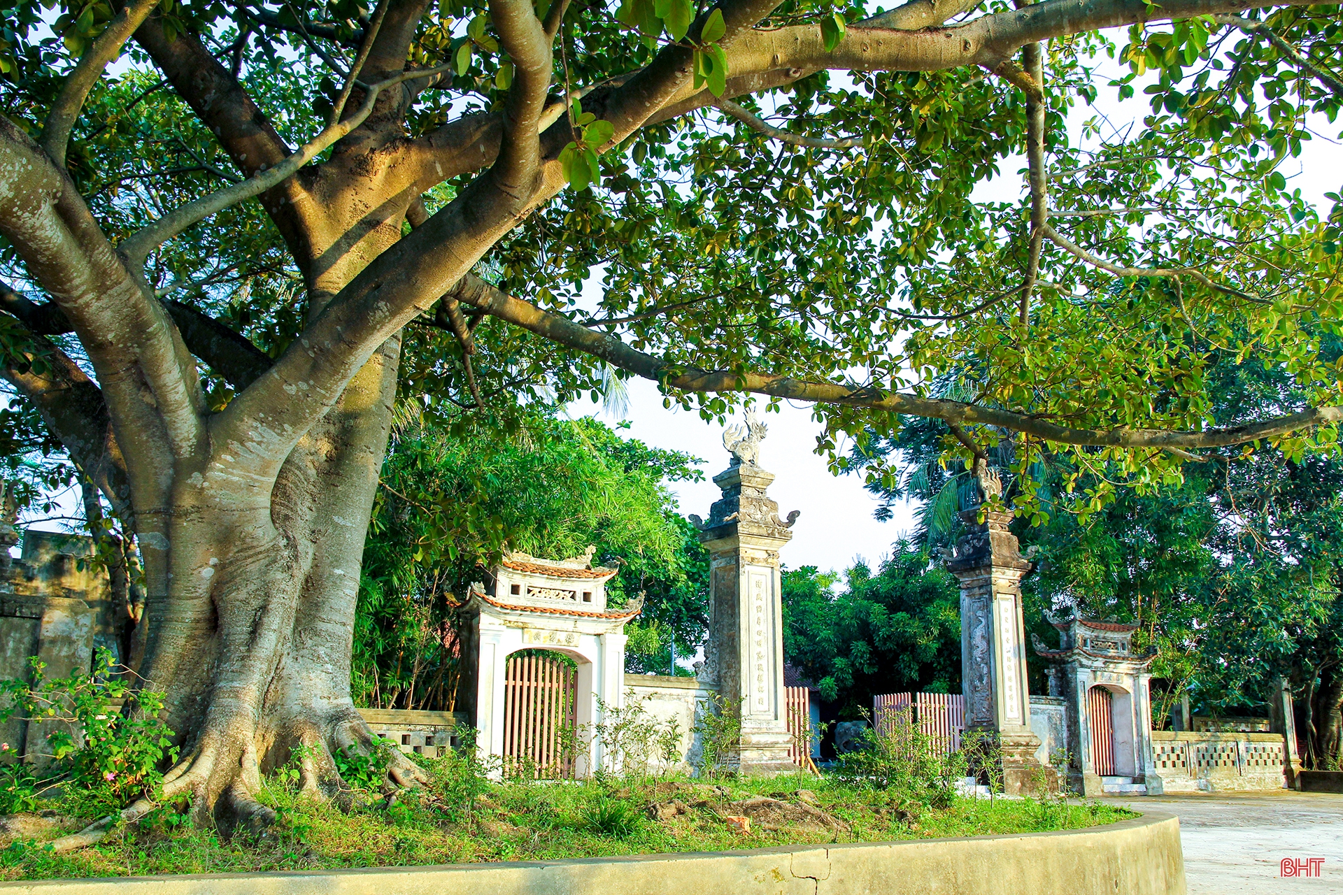 Sức sống làng cổ Hà Tĩnh