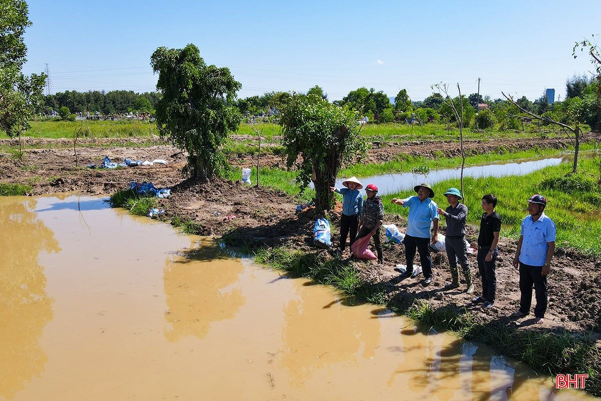adji-0953-8275.jpg