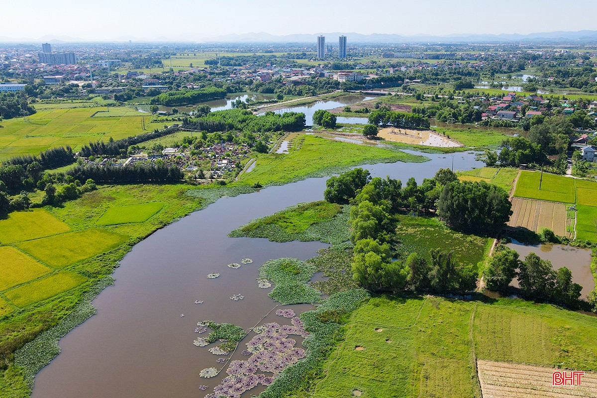 adji-0931-4254.jpg