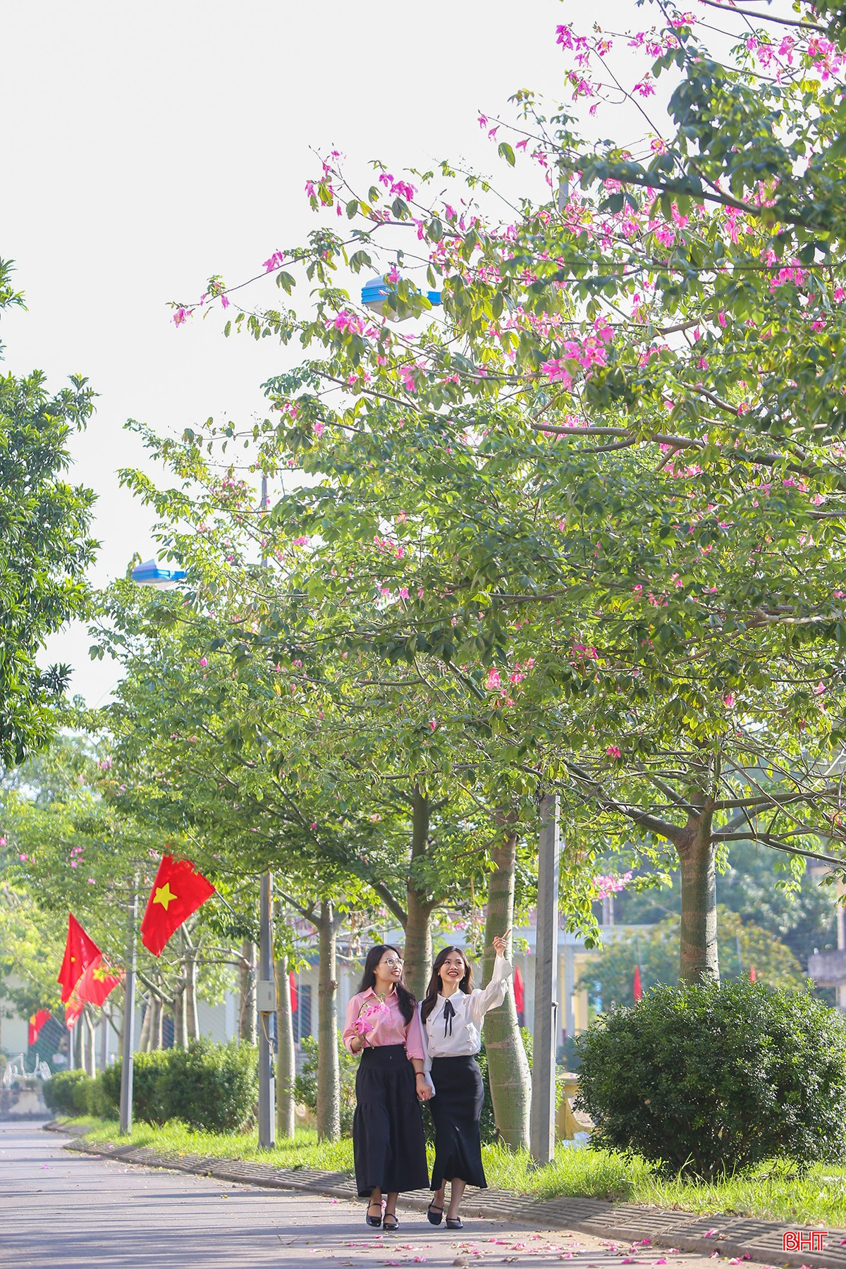 bqbht_br_aimg-5953.jpg