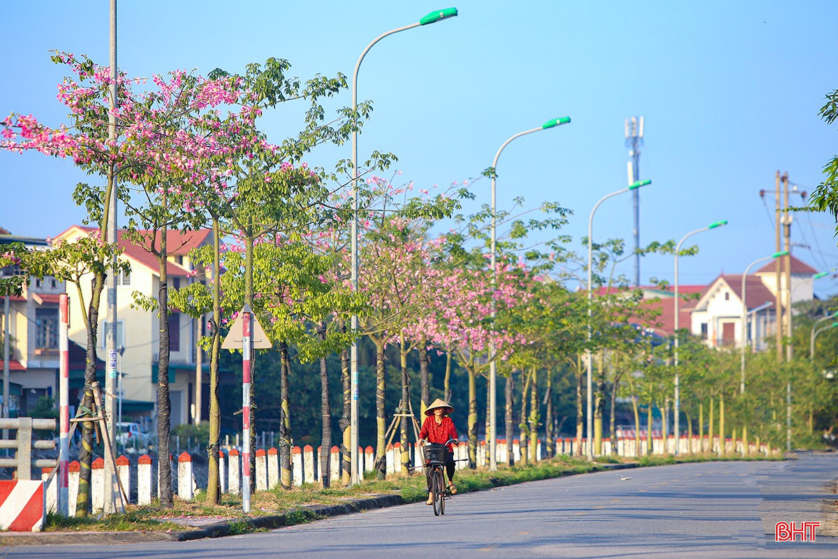 bqbht_br_aimg-6026.jpg