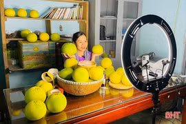 Mở rộng thị trường bưởi Phúc Trạch qua nền tảng số