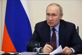 Điện Kremlin: Tổng thống Putin sẵn sàng ngừng tấn công Ukraine ngày bầu cử