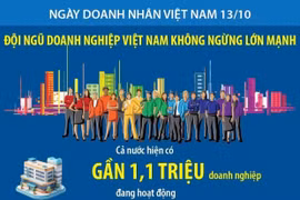 Đội ngũ doanh nghiệp Việt Nam không ngừng lớn mạnh