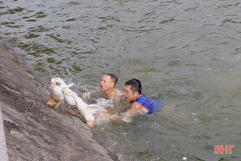 Đua thuyền truyền thống trên sông Cụt