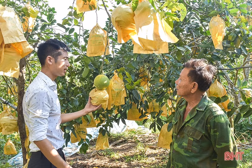 Hành trình phát triển nông nghiệp xanh ở Hà Tĩnh