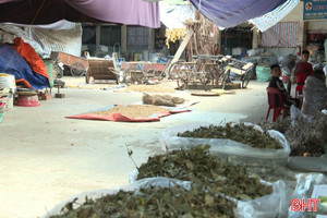 Thảo dược "phơi mình" giữa chợ Hà Tĩnh