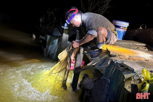 Nhộn nhịp mùa rươi trên các bãi bồi ven sông Hà Tĩnh