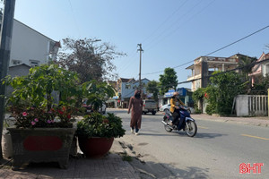 Người đi bộ… "mất" lối đi vì cây cảnh