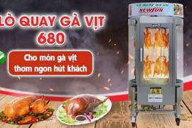 Top 3 mẫu lò quay vịt tốt nhất cho gia đình và cơ sở sản xuất