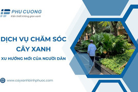 Dịch vụ chăm sóc cây xanh xu hướng mới của người dân