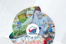 VINASEA Group: Hành trình thành công từ biển cả đến thế giới