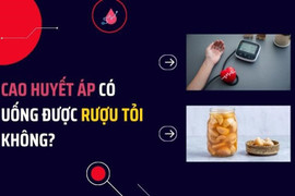 Cao huyết áp uống rượu tỏi: Tưởng hiệu quả hóa ra không