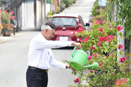 Đường hoa tô màu đô thị văn minh dưới chân núi Hồng