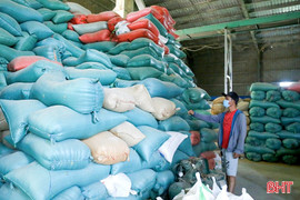 Hơn 28.000 hộ dân ở Hà Tĩnh được nhận gạo hỗ trợ dịp tết Bính Ngọ