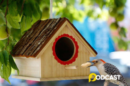 Podcast truyện ngắn: Ngôi nhà của chim non