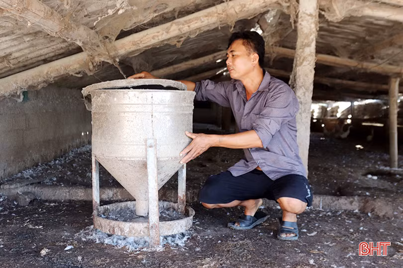 Nông dân TP Hà Tĩnh “biến” những ruộng lúa kém năng suất thành các mô hình kinh tế tiền tỷ