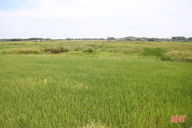 Hà Tĩnh đề nghị chủ đầu tư sớm bố trí kinh phí phục vụ giải phóng mặt bằng cao tốc Bắc - Nam