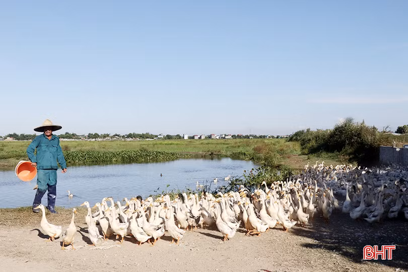 Đoàn công tác Hội Nông dân Việt Nam ấn tượng với các mô hình khởi nghiệp ở TX Kỳ Anh