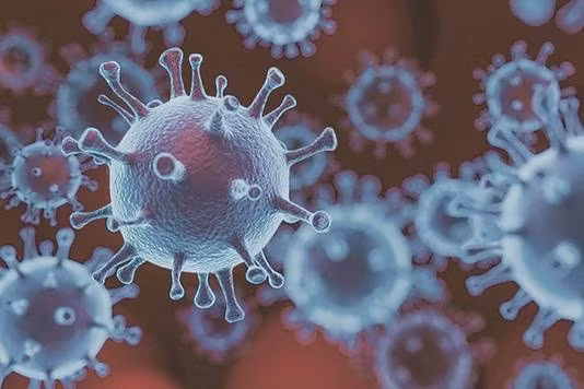 Biến thể phụ BA.2.74 và BA.2.75 của Omicron nguy hiểm đến mức nào?