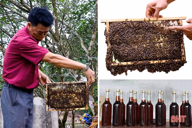 Đi giữa trời thu Can Lộc