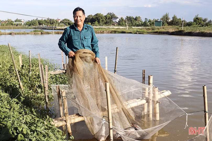 Nông dân TP Hà Tĩnh “biến” những ruộng lúa kém năng suất thành các mô hình kinh tế tiền tỷ