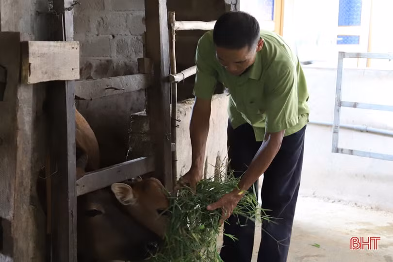 Nỗ lực giúp người mù ở Cẩm Xuyên tự tin hòa nhập cộng đồng, phát triển kinh tế