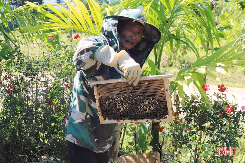 Vợ chồng lão nông miền núi Hà Tĩnh thoát nghèo, vươn lên làm giàu