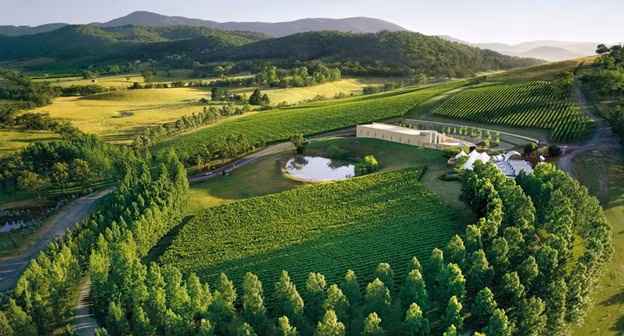 5 trải nghiệm nhất định phải thử trong chuyến du lịch Úc