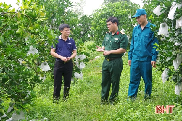 Phó Chỉ huy trưởng BCHQS xã ở Hà Tĩnh vững chuyên môn, giỏi làm kinh tế