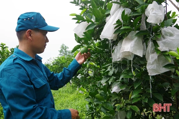 Phó Chỉ huy trưởng BCHQS xã ở Hà Tĩnh vững chuyên môn, giỏi làm kinh tế