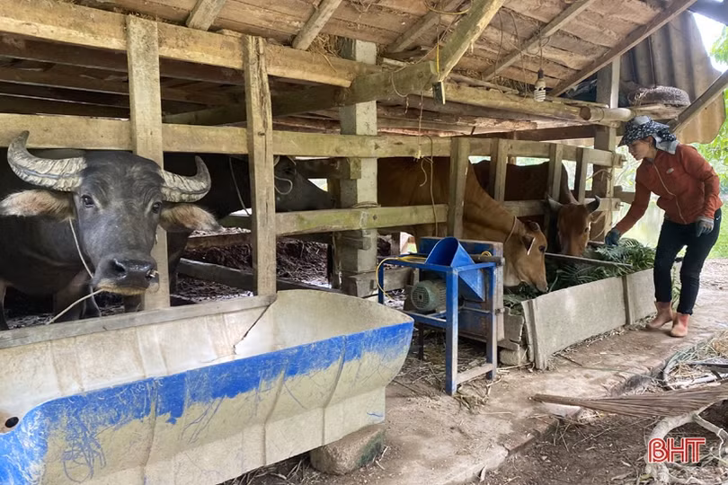 “Tiếp sức” người dân miền núi Hà Tĩnh ổn định cuộc sống