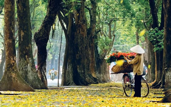 Đẹp nao lòng tháng Tám Hà Nội vào thu 
