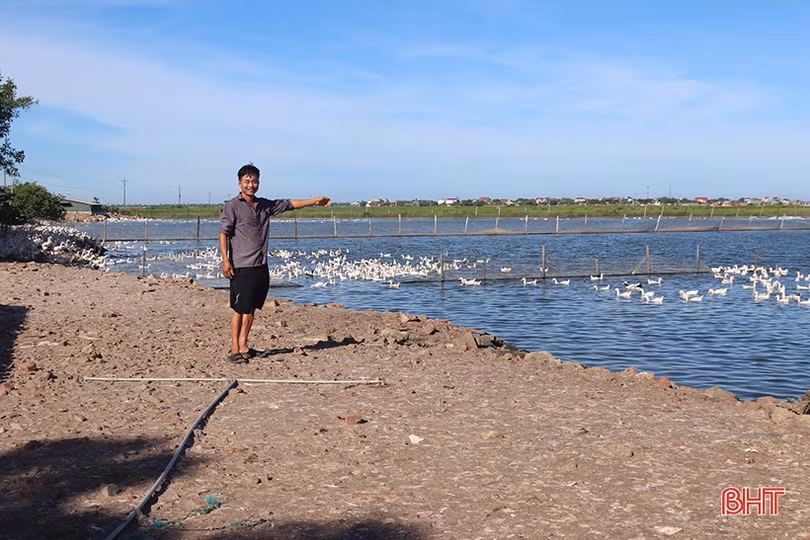 Cồn Cồ - một thời ký ức đau thương