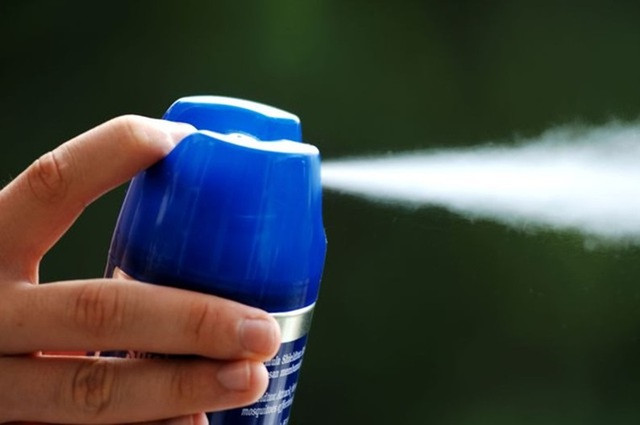 Diệt côn trùng: Đừng dùng thuốc, đây mới là cách hiệu quả và an toàn