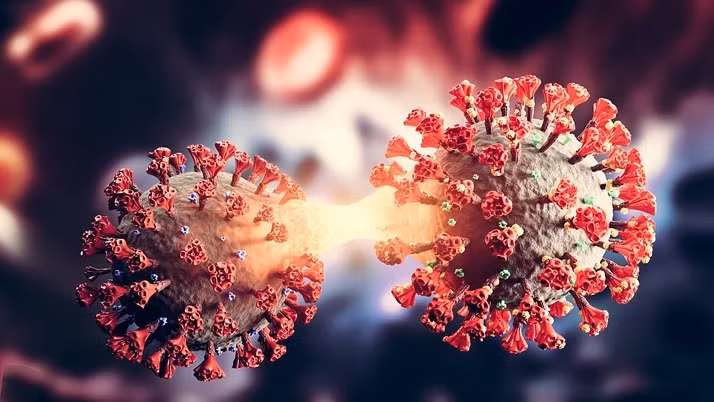 Việt Nam ghi nhận biến thể phụ BA.2.74 của Omicron