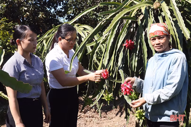 Hỗ trợ phụ nữ Hồng Lĩnh phát triển kinh tế, mạnh dạn làm giàu