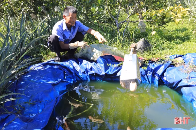 Vợ chồng lão nông miền núi Hà Tĩnh thoát nghèo, vươn lên làm giàu