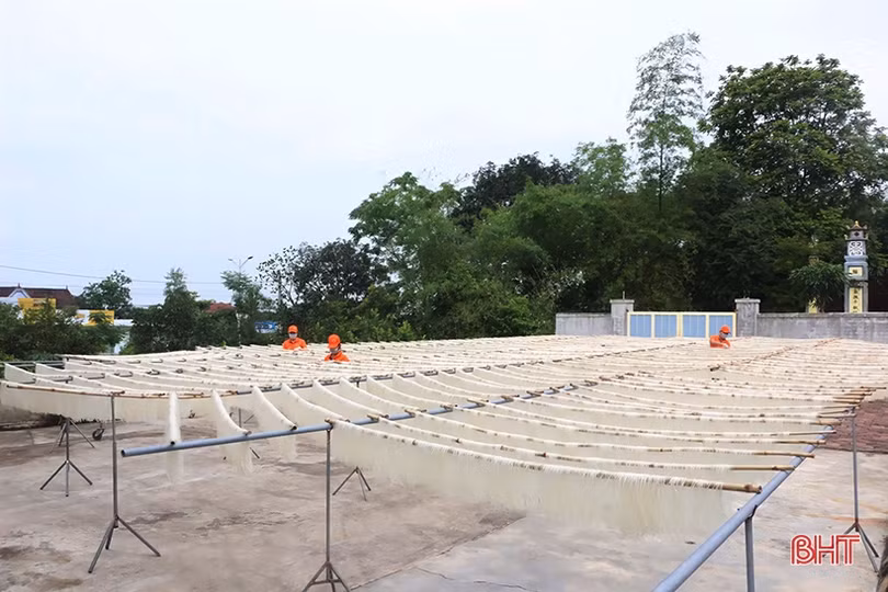 Hỗ trợ phụ nữ Hồng Lĩnh phát triển kinh tế, mạnh dạn làm giàu